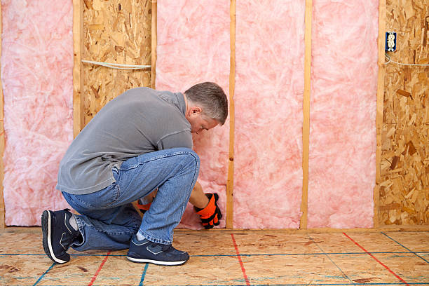 Professional Insulation in Victoria, KS